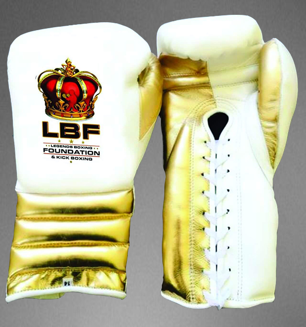 LBF Boxing gloves